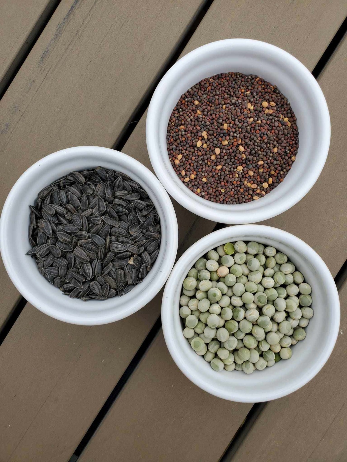 WhatsApp Image 2025-08-04 at 5.15.04 PM.jpeg